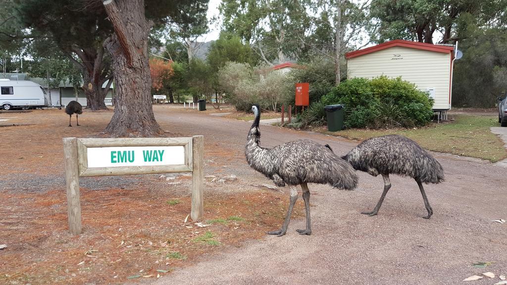 Breeze Holiday Parks - Grampians Halls Gap Bagian luar foto