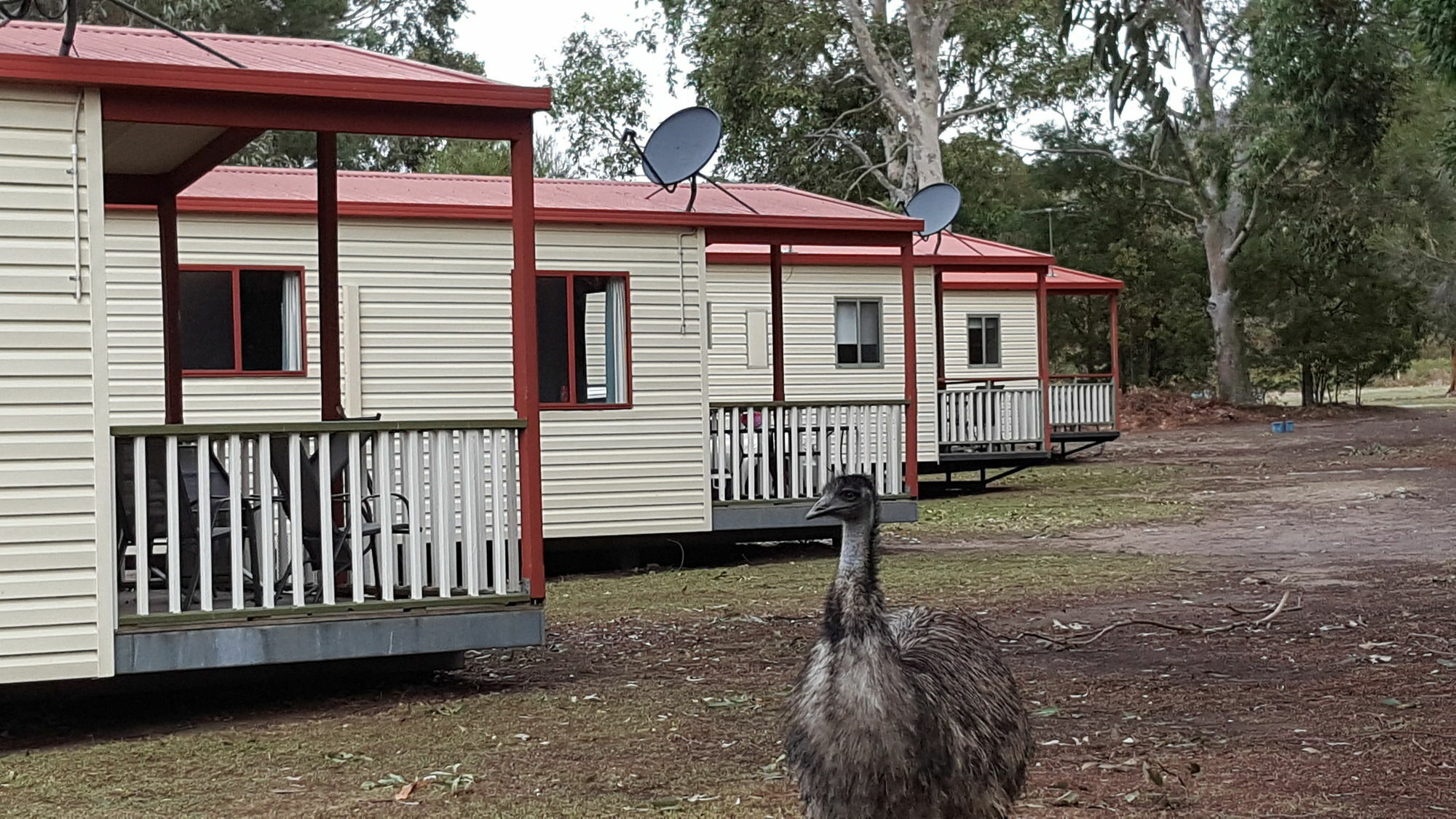 Breeze Holiday Parks - Grampians Halls Gap Bagian luar foto